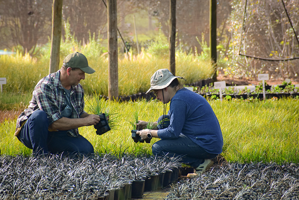 Andre and Mart-Marie