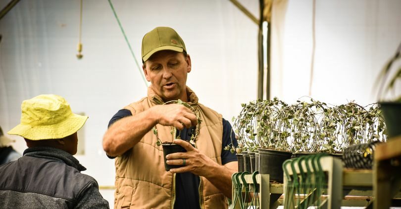 Photo of Andre inspecting a plant